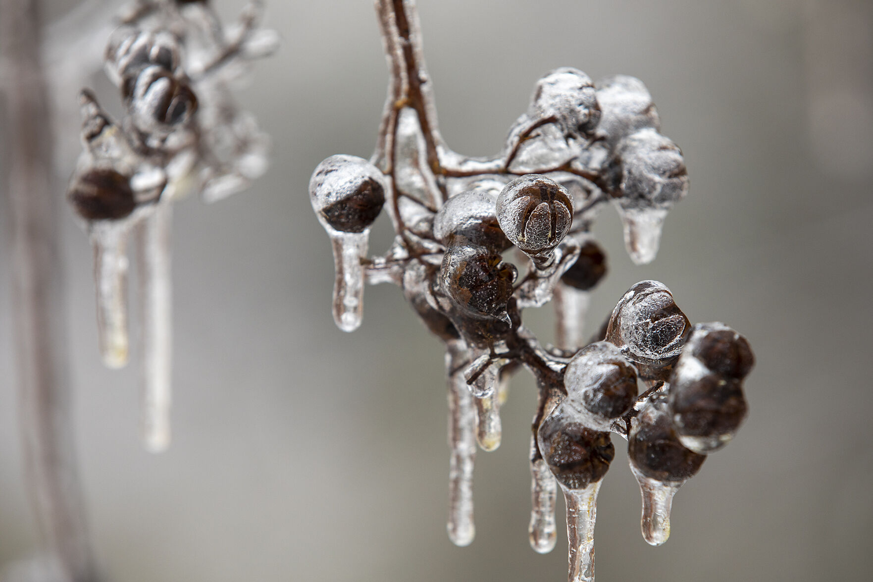 Winter Weather